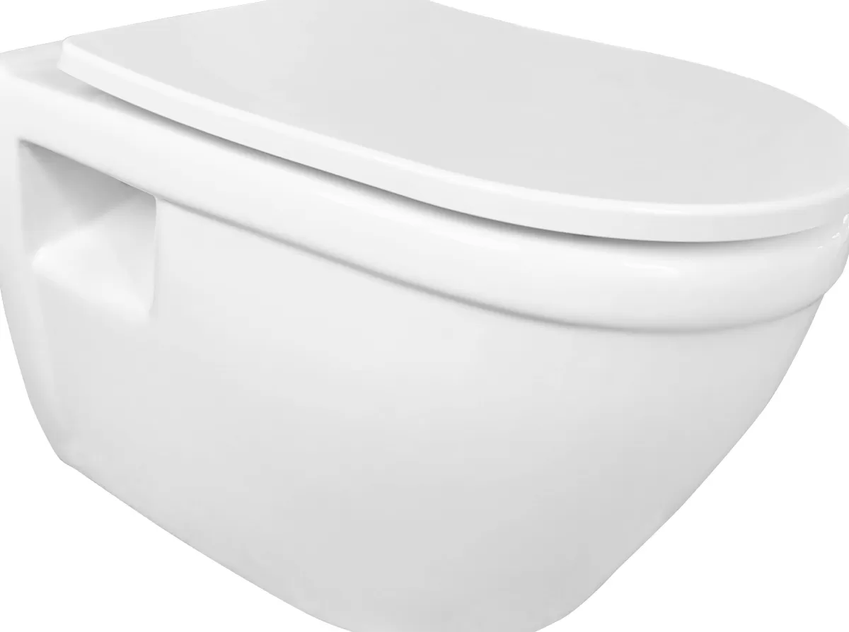 Brico Aquavive Hangtoilet Foglia Wit | Soft-Close & Quick Release Toiletzitting | Randloos Toiletpot Store