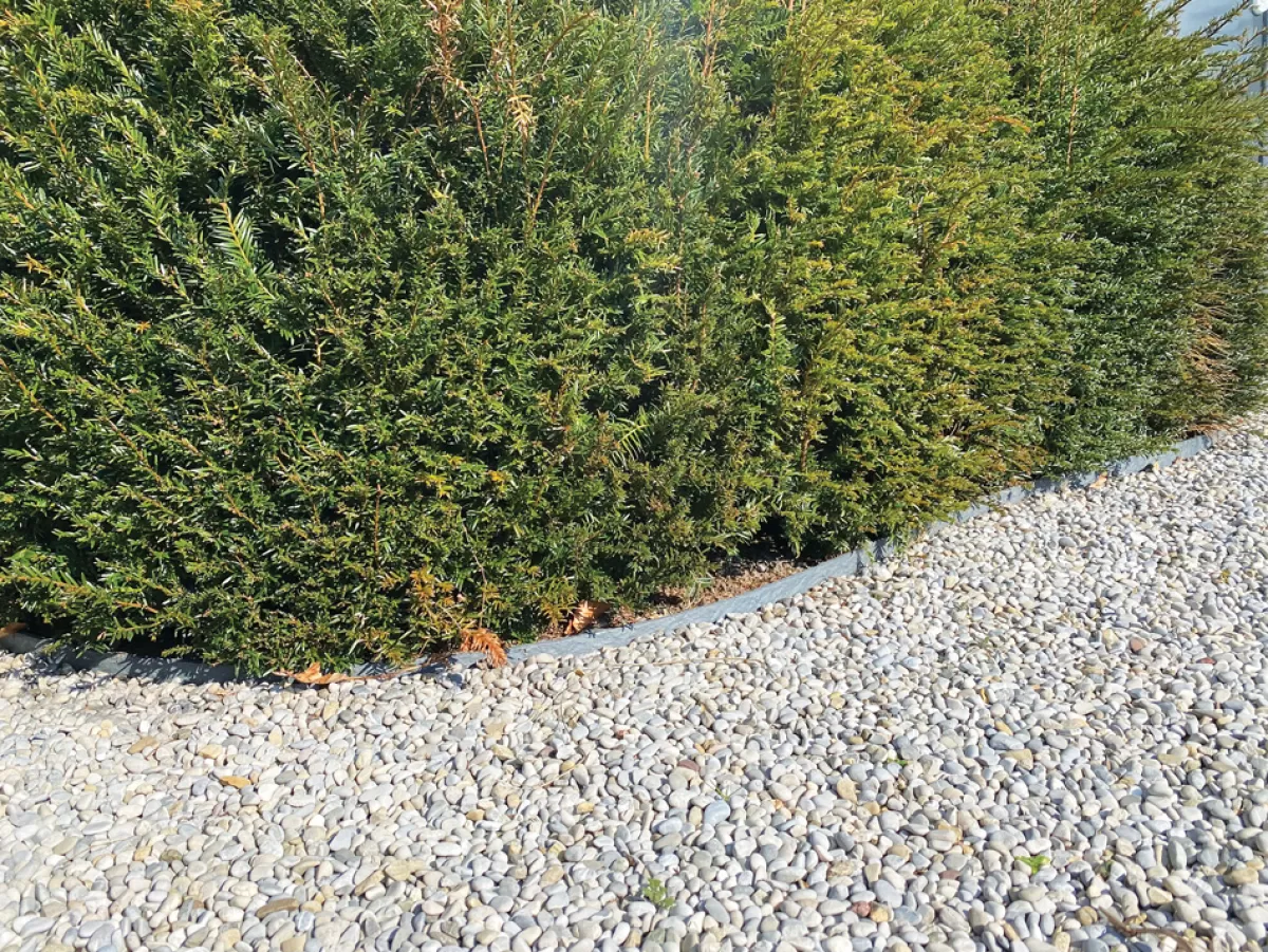 Brico Opsluitbanden & Boordstenen-Eco Edge Kantopsluiting Rol - Zwart - 1000 X 14 X 0,7 Cm