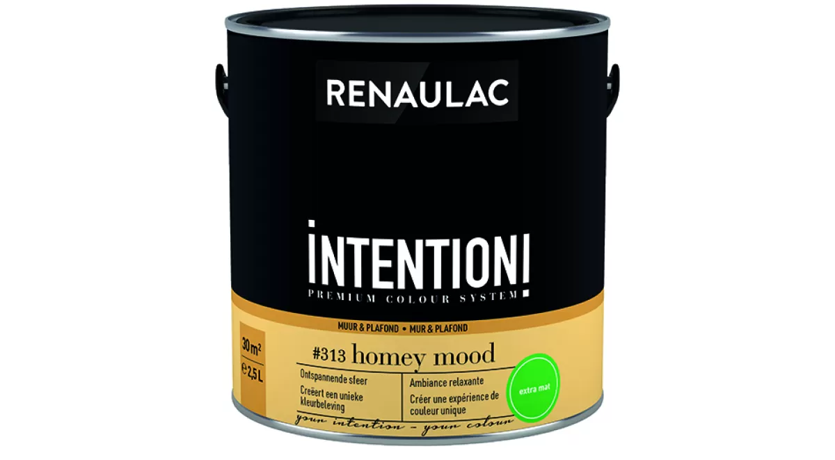 Brico Muurverf-Renaulac Muur- En Plafondverf Intention Homey Mood Extra Mat 2,5L
