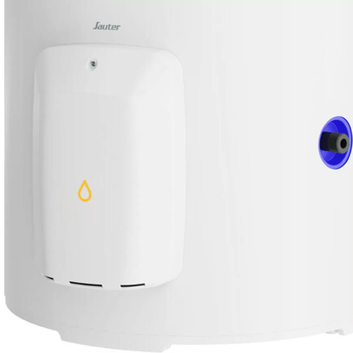 Brico Sauter Elektrische Boiler Cangar 100L 1200W Droge Weerstand