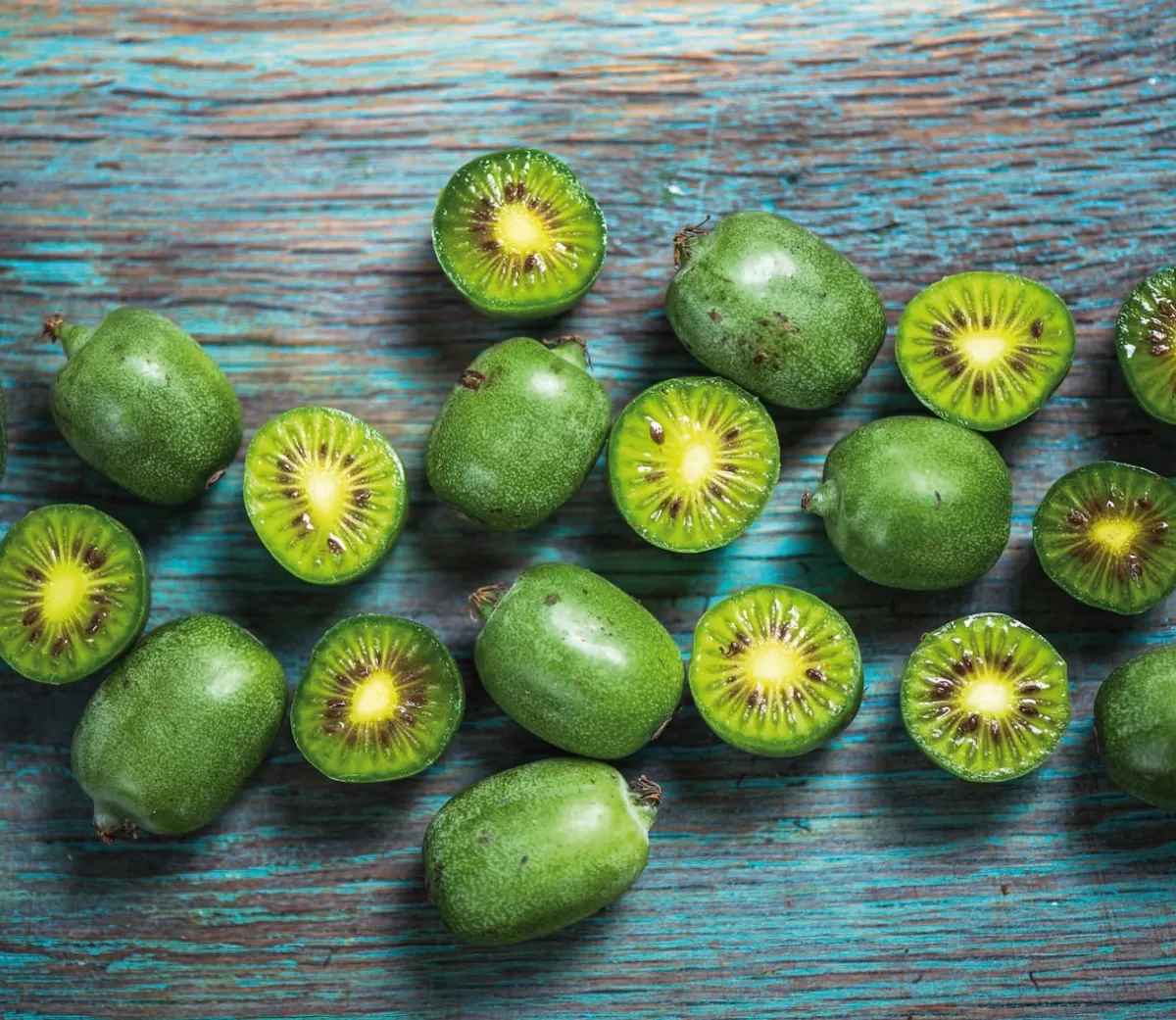 Brico Planten-Smoothie Mix - Mix Van 8 - Goji,Cranberry,Bes, Kiwi - Pot 9Cm - Hoogte 25-40Cm