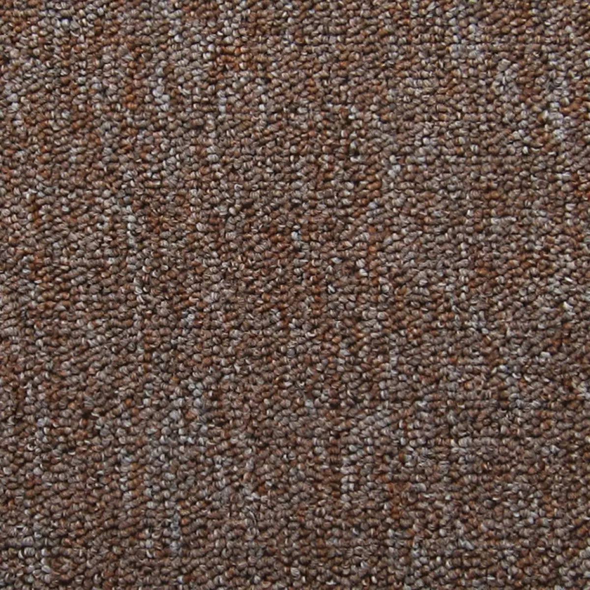 Brico Trapmatten-Trapmat Cortona - Bruin - 28X65 Cm - 15 Stuks